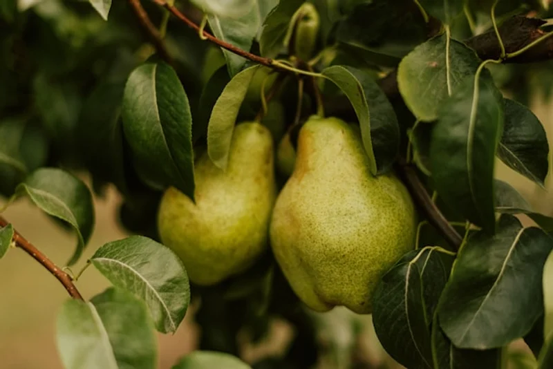 Decorative header image